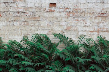 eski tuğla duvar dokusu