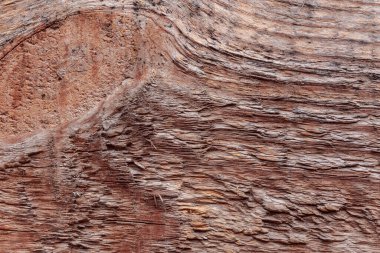 ahşap bir yüzey dokusu