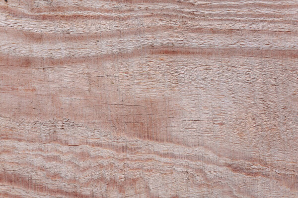 texture of old wood. background 