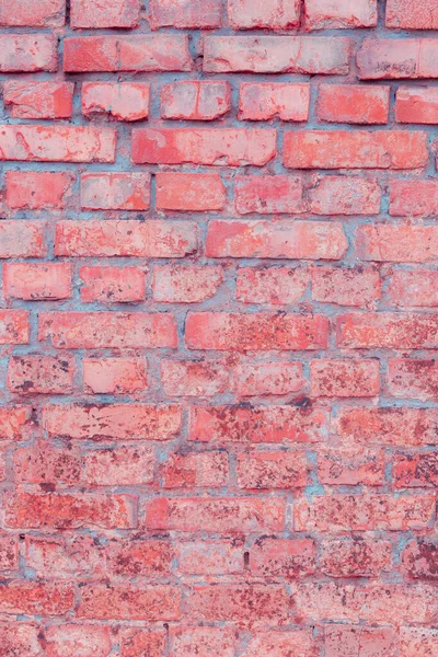 Vieux Mur Briques Texture Fond — Photo