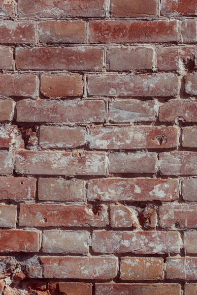 旧砖墙背景图 — 图库照片