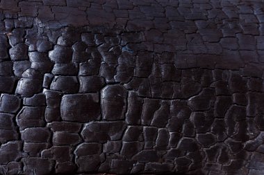 Siyah beyaz fotoğraf, koyu deri arka plan.