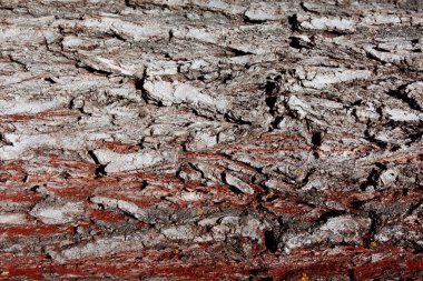 grunge doku arkaplanı, eski duvarı kapat