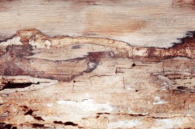 eski ahşap doku arkaplanı