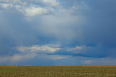 Buğday tarlası olan güzel bir manzara.