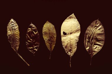 Altın boyalı yapraklar, soyut çiçek arkaplanı  