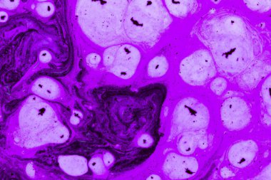 Renkli sıvı mürekkep lekelerinin soyut arkaplanı. Suyun güzel dokusu. Sıvı renklerin deseni