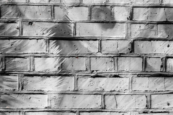 Texture Old Brick Wall — Stock Photo, Image