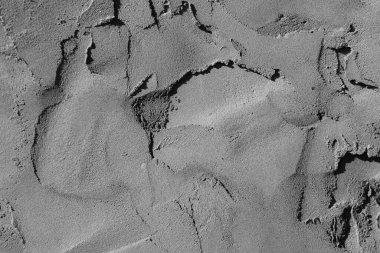 Soyut arkaplan. monokrom dokusu. resim siyah ve beyaz tonları içerir.