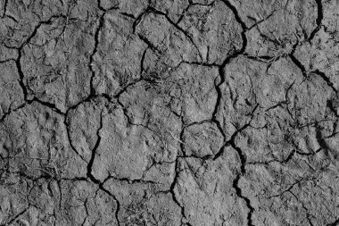 Çatlak toprak, doku, arkaplan