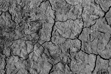 Çatlak toprak dokusu arka planı