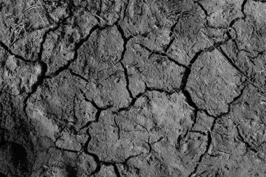 Topraktaki çatlamış toprak