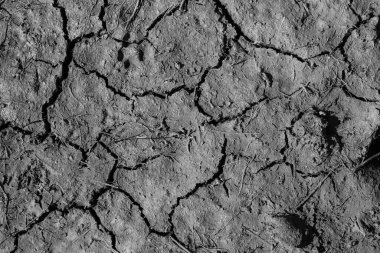 Topraktaki çatlamış toprak