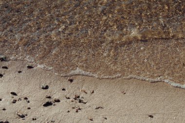 Deniz dalgalı kumsal