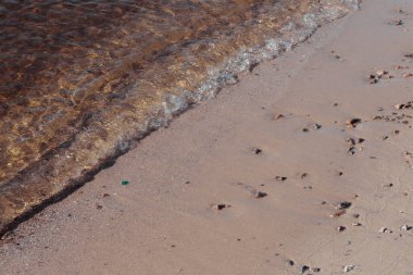 Kumsalda kumsalda dalgalar ve deniz kabukları