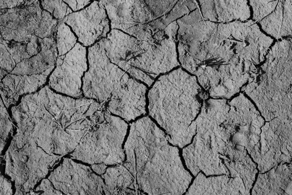 Çatlak toprak dokusu, soyut arkaplan