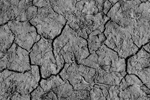 Topraktaki çatlamış toprak