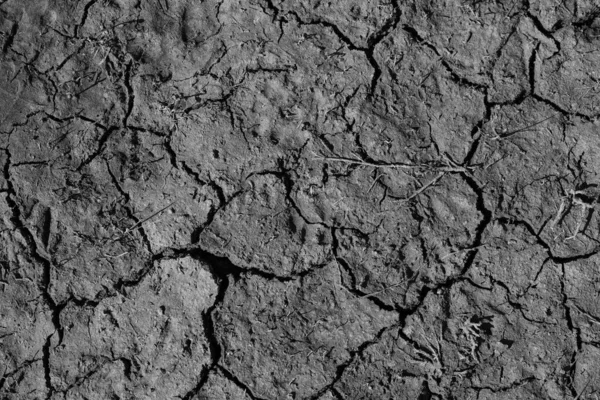 Çölde çatlamış toprak