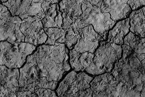 Çatlak toprak, doku, arkaplan