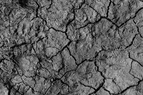 Cracked Earth Ground — Stock Photo, Image