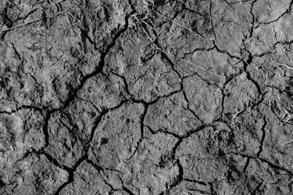 Çölde çatlamış toprak