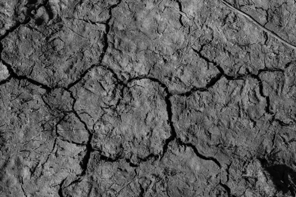 cracked soil texture background