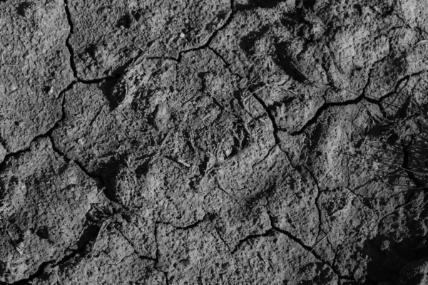 Soil Texture Background Closeup — 스톡 사진