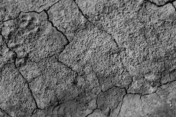 Soil Texture Background Closeup — 스톡 사진