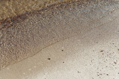 Deniz dalgalı kumsal 