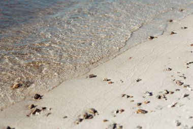 Deniz dalgalı kumsal