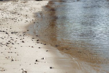 Sahildeki deniz dalgaları