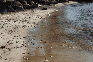 Sahildeki deniz dalgaları