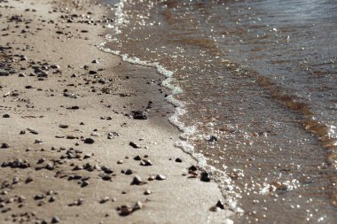 Deniz dalgalı kumsal