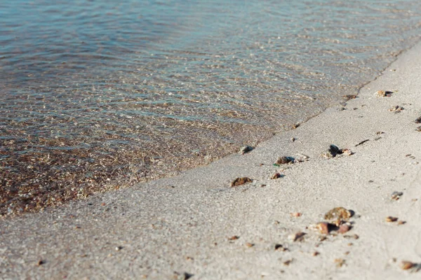 Spiaggia Sabbia Marina Con Onde Conchiglie — Foto Stock