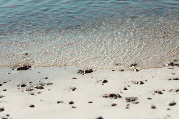 Sea Sand Beach Waves Shells —  Fotos de Stock