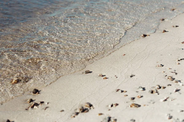 Deniz dalgalı kumsal