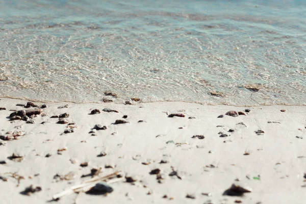 Морський Піщаний Пляж Білою Піною Хвилями Мушлями Піщаному Березі — стокове фото