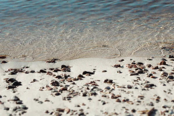 Морський Піщаний Пляж Хвилями Мушлями — стокове фото