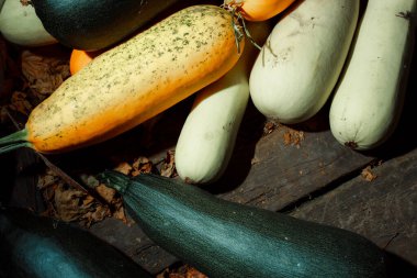 Tahta bir masada taze sebzeler.