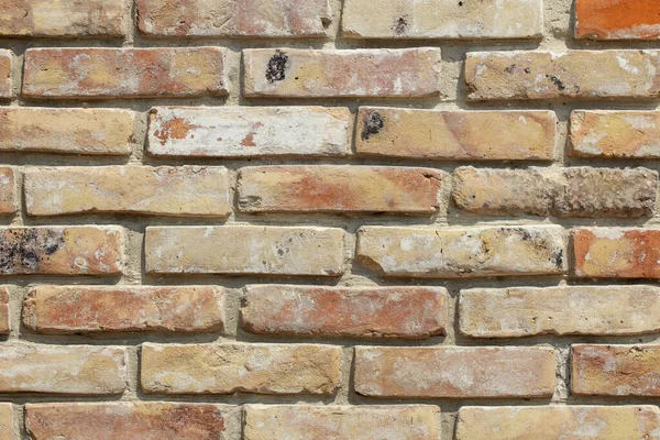 Brick Wall Texture Background — Stock Photo, Image