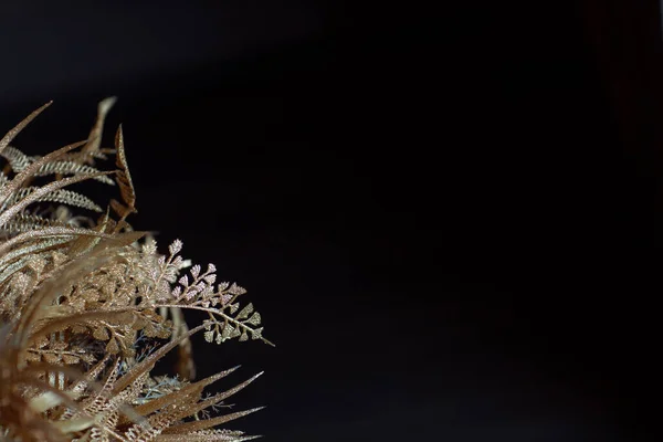 Dry plants painted in gold on dark interior background