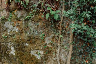 Tsikhisdziri, Gürcistan - 13 Ağustos 2021: Eski Bizans Petra kalesinin restorasyonu ve kazısı