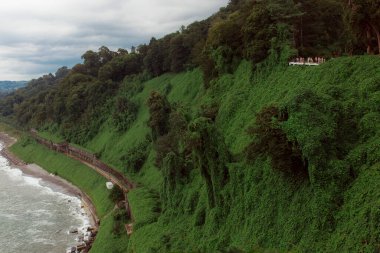 Botanik Bahçesi. Uçurumdan Karadeniz 'e bak. Yoğun yeşil yapraklarla kaplı dağlar. Tren yolu deniz kıyısındaki uçurumdan geçiyor..