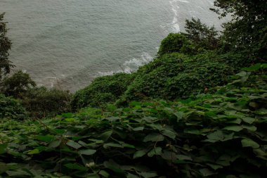 Güzel deniz manzarası