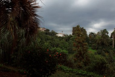 Yeşil ağaçlı güzel bir dağ manzarası.