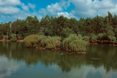 Gölü ve gölü olan güzel bir manzara.