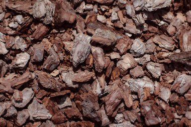 Yeşil çimenlikteki bir oduna yaklaş