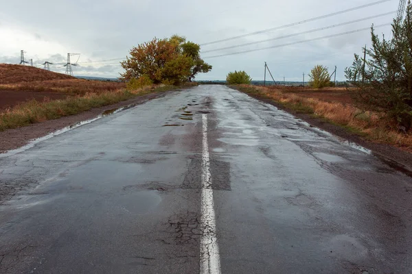 Асфальтовая Дорога Путь Через Поле Мокрое Покрытие Дождливая Погода Вид — стоковое фото