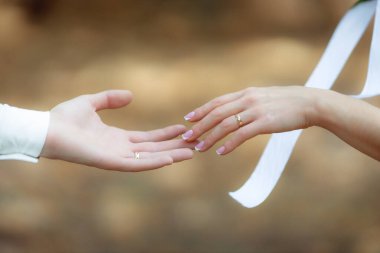 wedding day, woman and man hands tender touch 