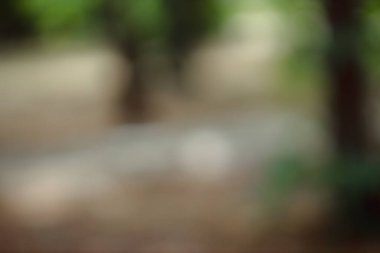 blurred green nature background, abstract backdrop